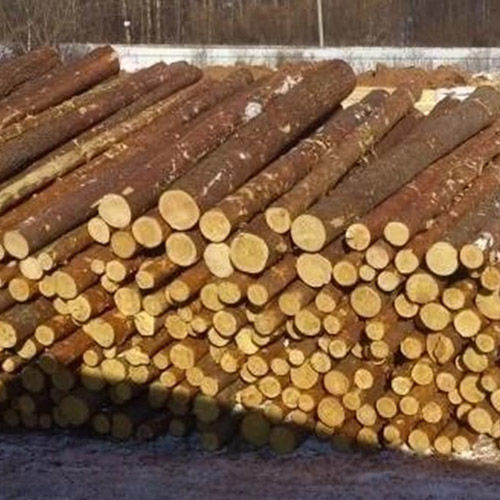 Балансы хвойные